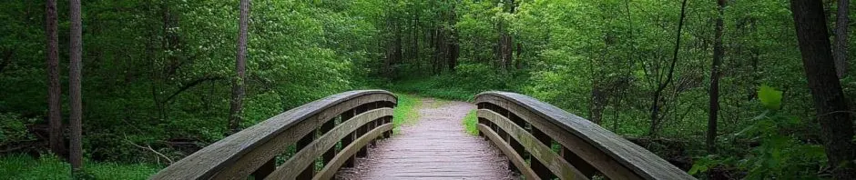 Discover the Natural Wonders of Salt Fork State Park