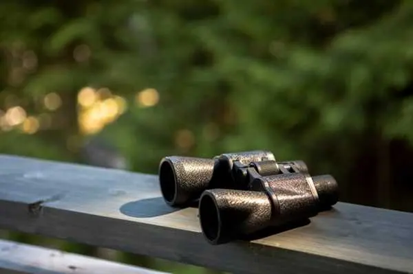 Top 5 Night Vision Monoculars for Hunting in 2025